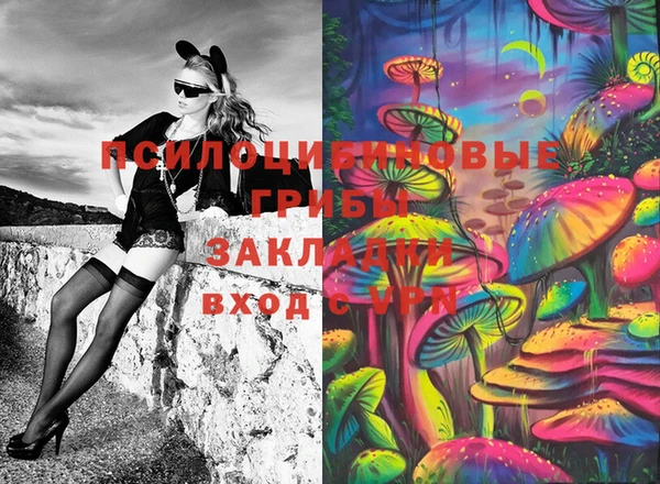 таблы Алзамай